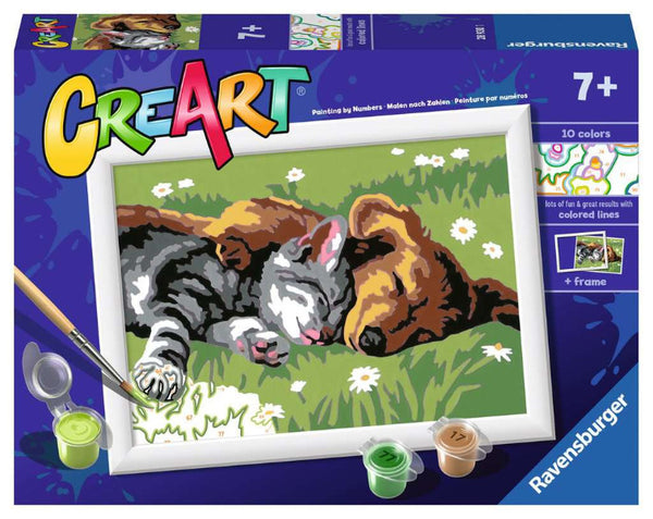 Sleeping Cat & Dog Paint by Number – Imaginuity Play with a Purpose