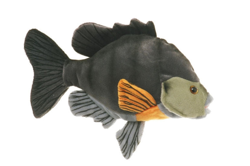 Sunfish stuffed fish