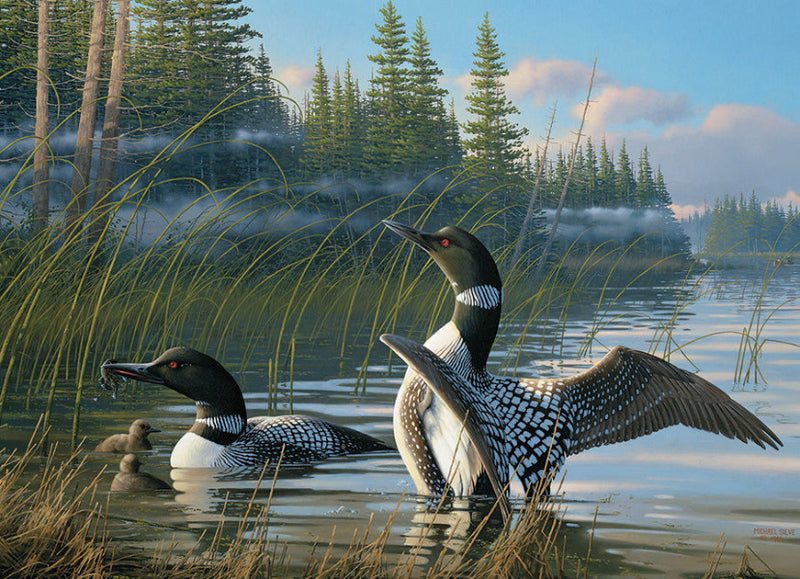 Common Loons 1000pc
