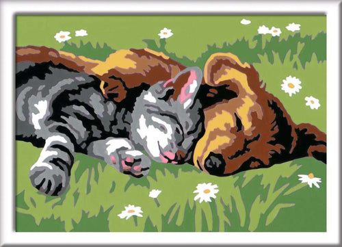 Sleeping Cat & Dog Paint by Number
