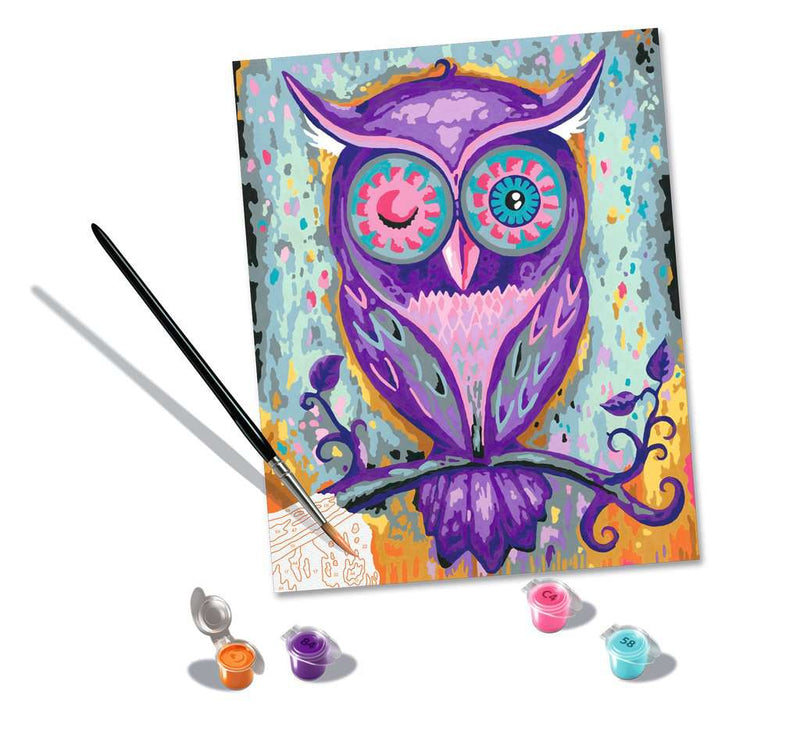 Dreaming Owl Paint by Number