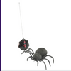 Spooky Spider Remote Controlled