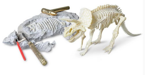 Triceratops Paleontology Kit