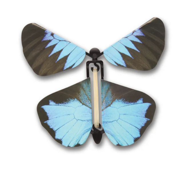 Wind Up Butterflies