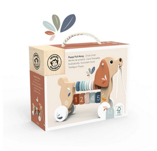 Puppy Pull Along toy in box