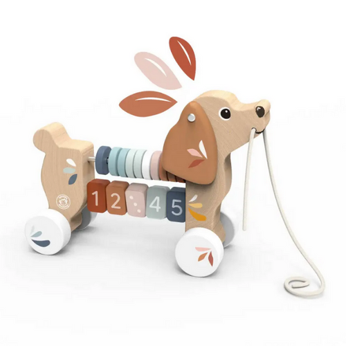 Pull Along Puppy Activity Toy