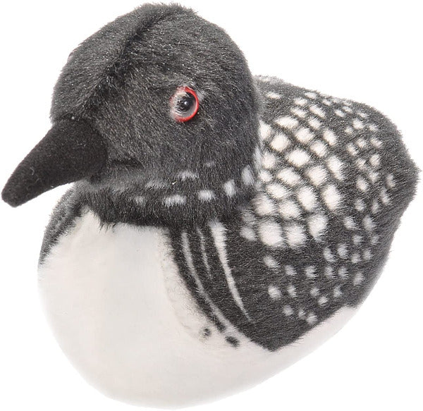 Common Loon with Sound