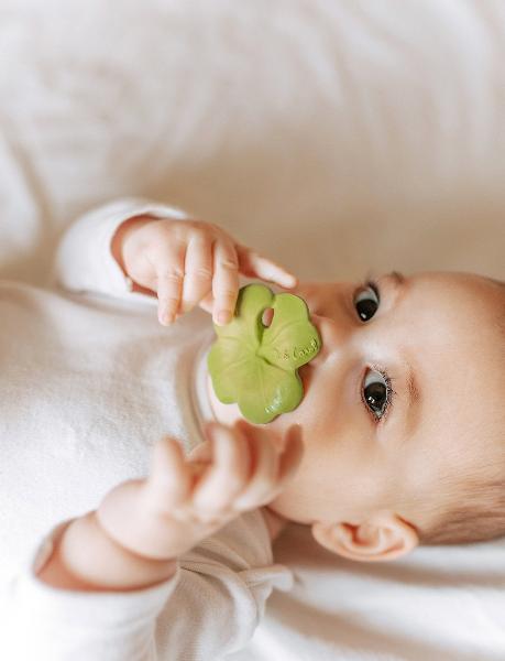 Eli The Clover Teether