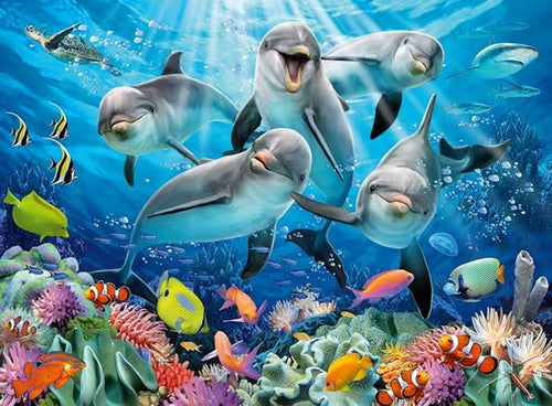 Dolphins Coral Reef