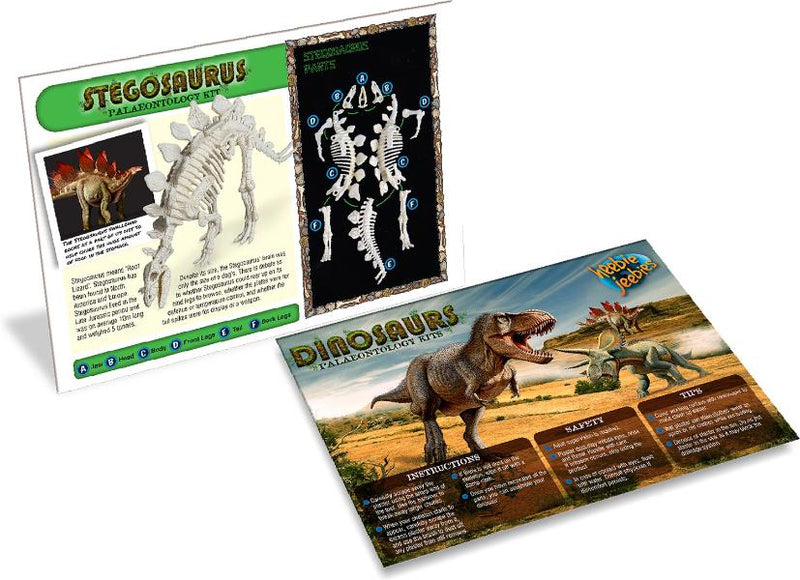 Stegasaurus Paleontology Kit