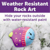 Glow in the Dark Rock Painting Kit