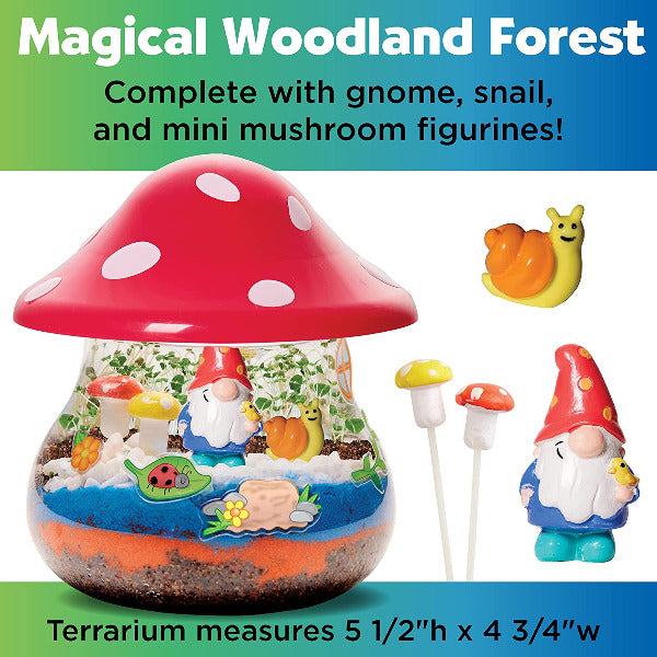 Woodland Forest Plant & Grow