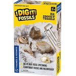 Real Fossil Excavation Kit