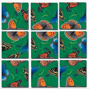 Butterflies Scramble Squares®