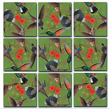 Hummingbird Scramble Squares®